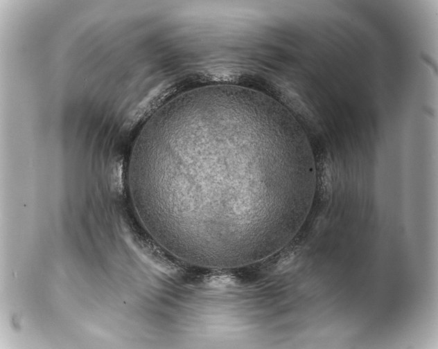 X0000100890262200807011204