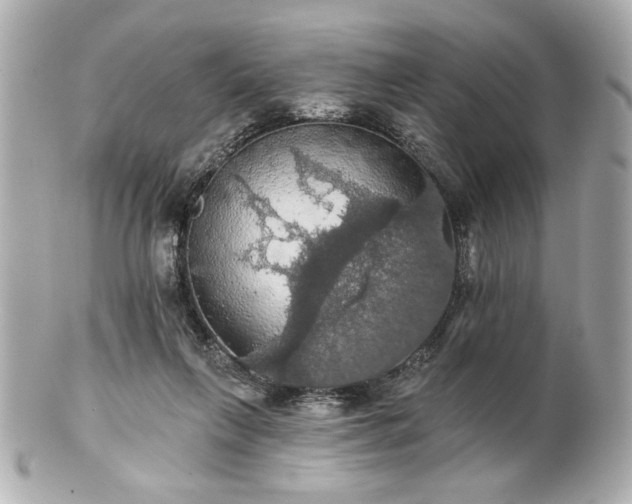 X0000100890263200807011204