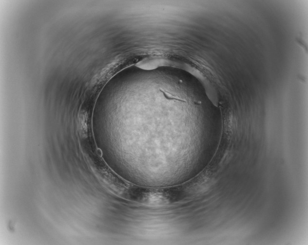 X0000100890264200807011204