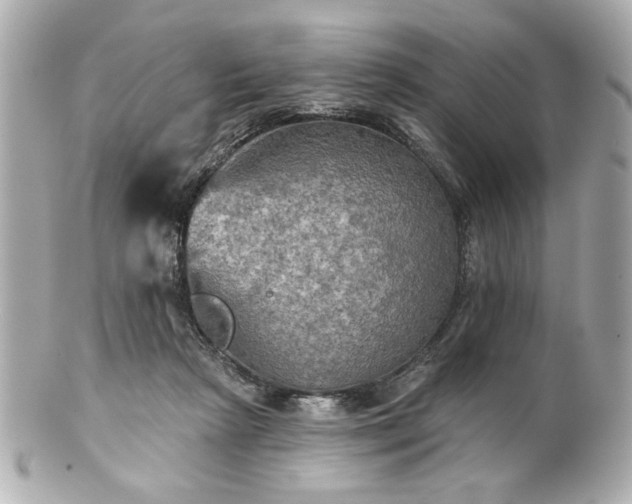 X0000100890265200807011204