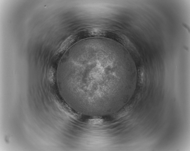 X0000100890266200807011204