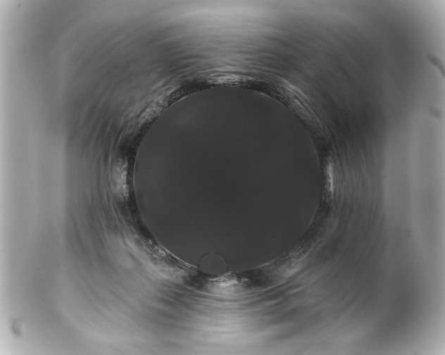 X0000100890267200807011204