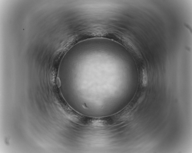 X0000100890268200807011204
