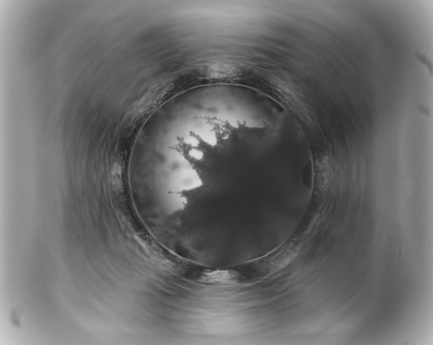 X0000100890269200807011204