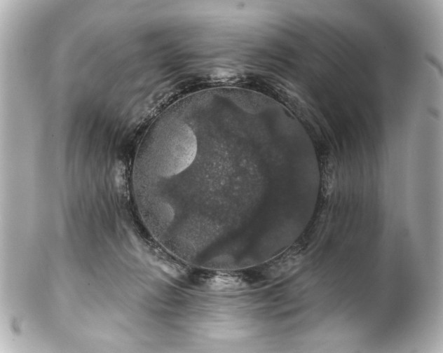 X0000100890270200807011204