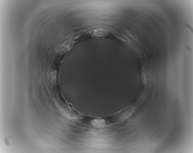 X0000100890271200807011204