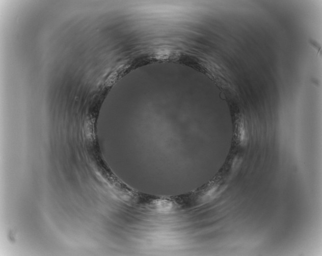 X0000100890272200807011204