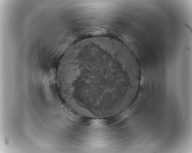 X0000100890273200807011204