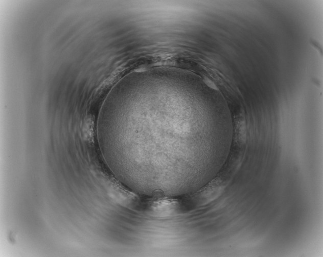 X0000100890274200807011204