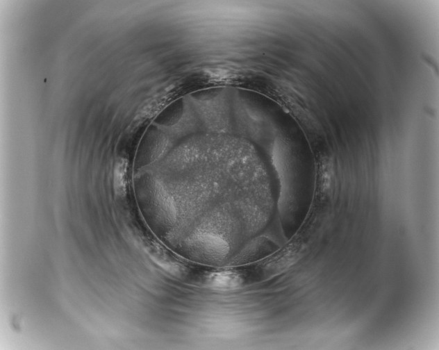 X0000100890275200807011204