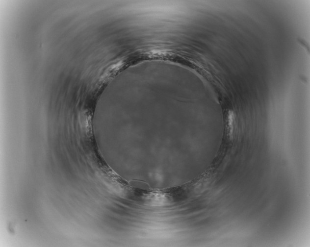 X0000100890276200807011204