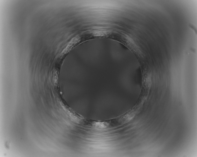 X0000100890277200807011204