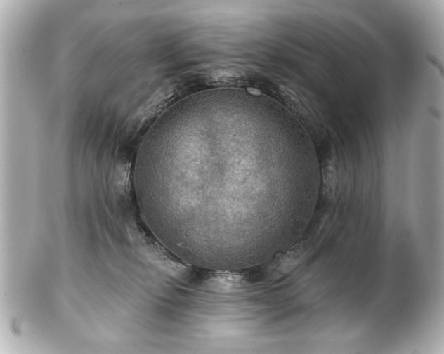X0000100890278200807011204