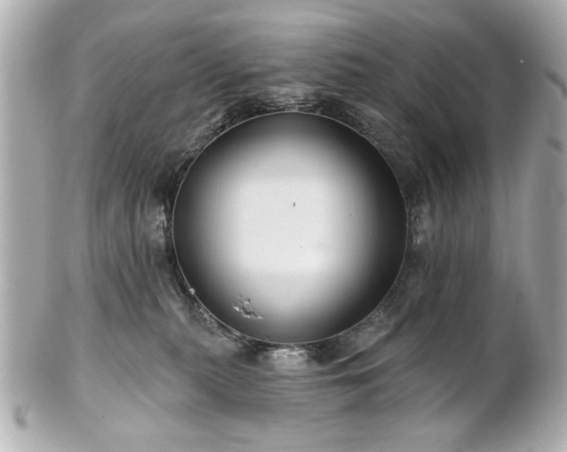 X0000100890279200807011204