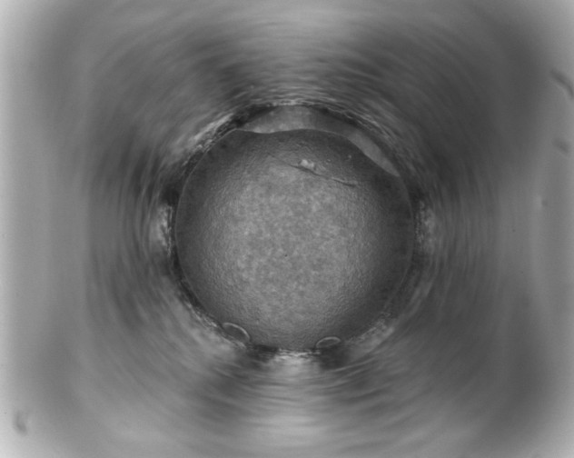 X0000100890280200807011204