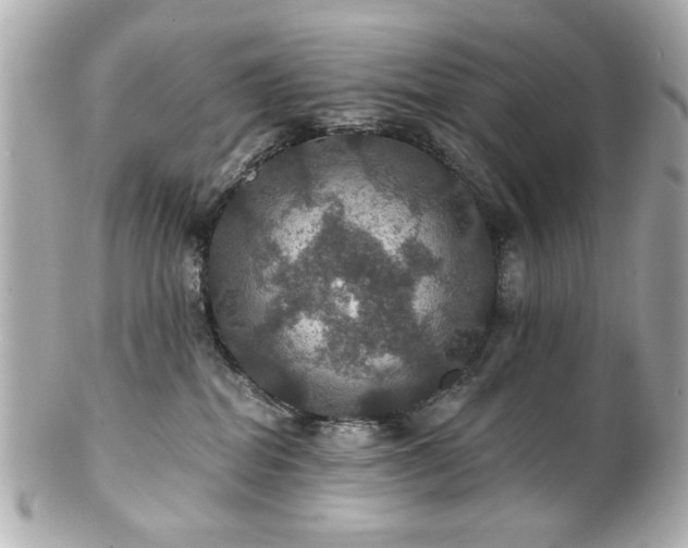X0000100890282200807011204