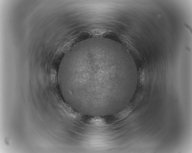 X0000100890283200807011204