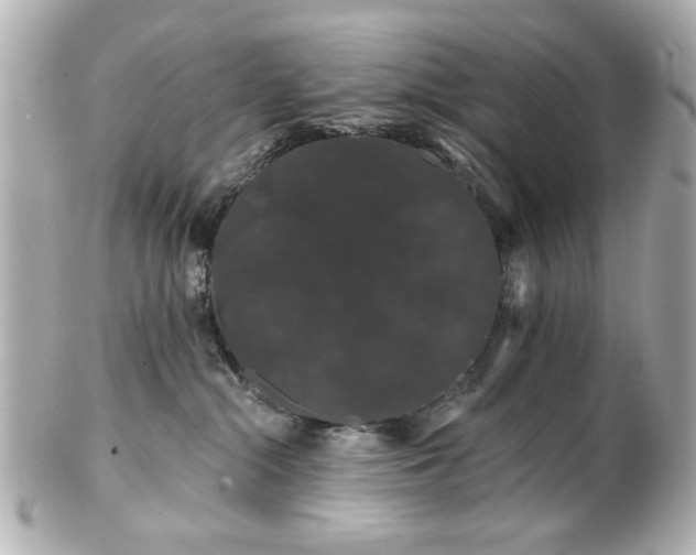 X0000100890284200807011204