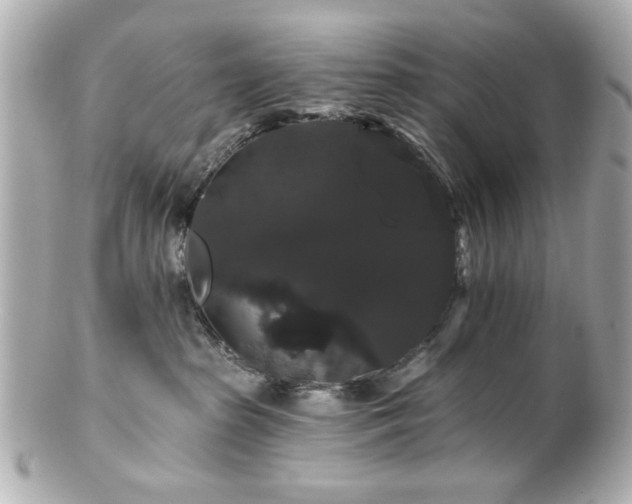 X0000100890285200807011204