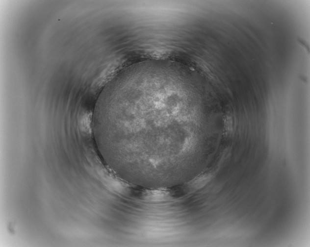 X0000100890286200807011204