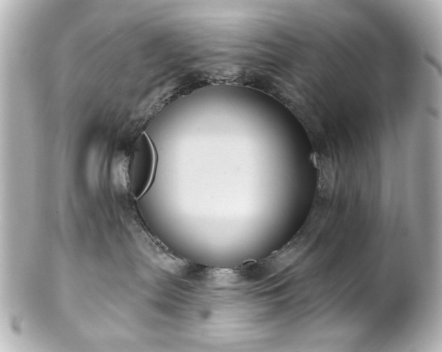 X0000100890287200807011204