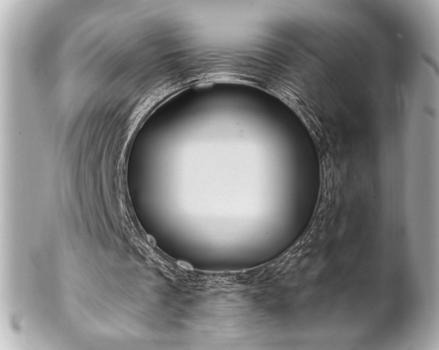X0000100890289200807011203