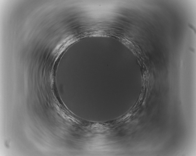 X0000100890290200807011203