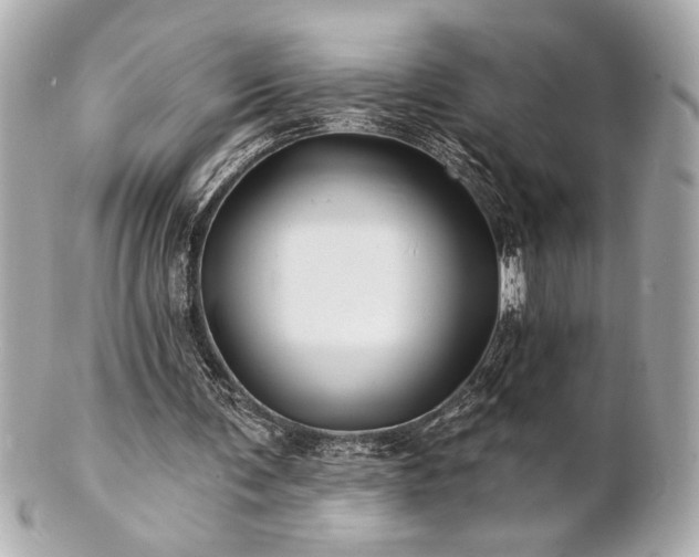 X0000100890291200807011203