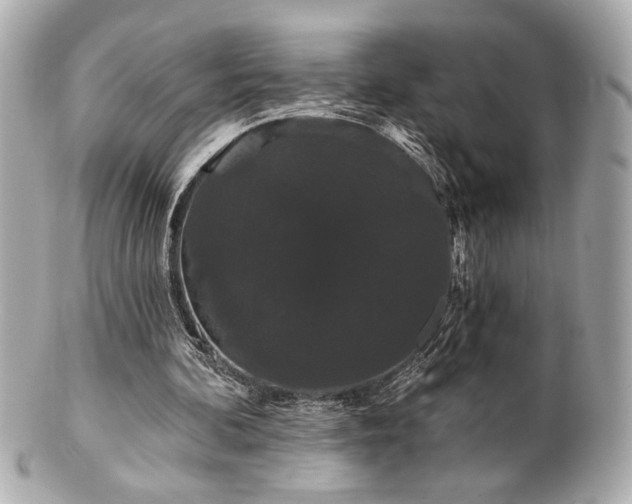 X0000100890292200807011203