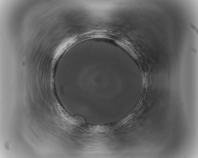 X0000100890293200807011203