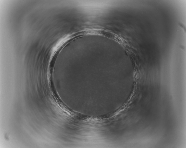X0000100890294200807011203