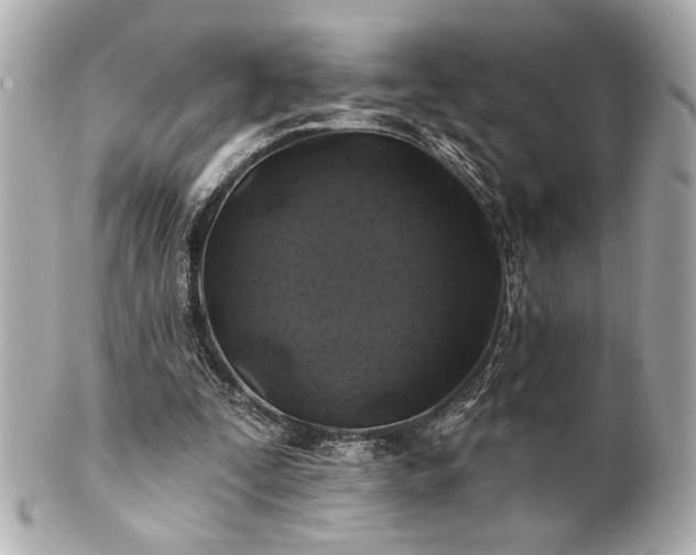 X0000100890295200807011203
