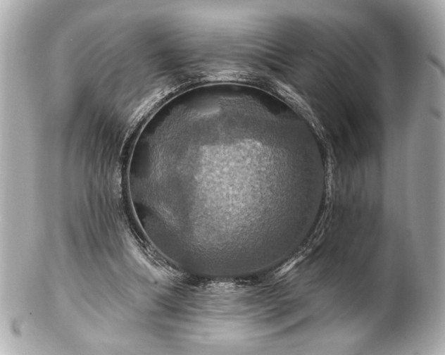 X0000100890298200807011203