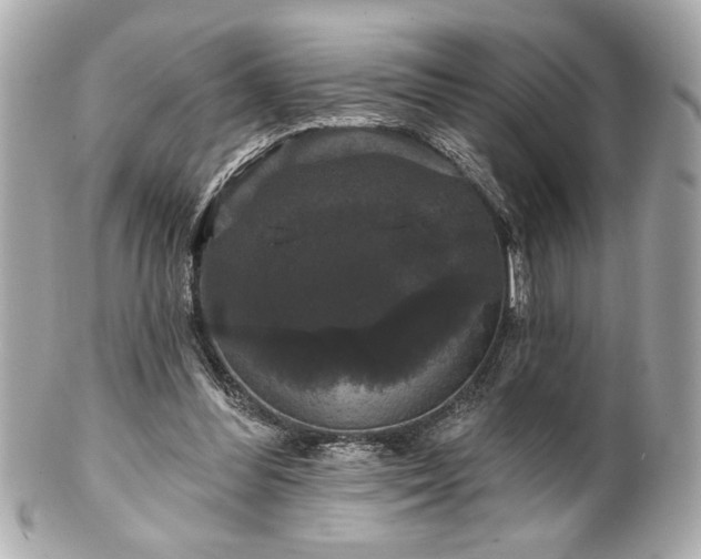 X0000100890300200807011203