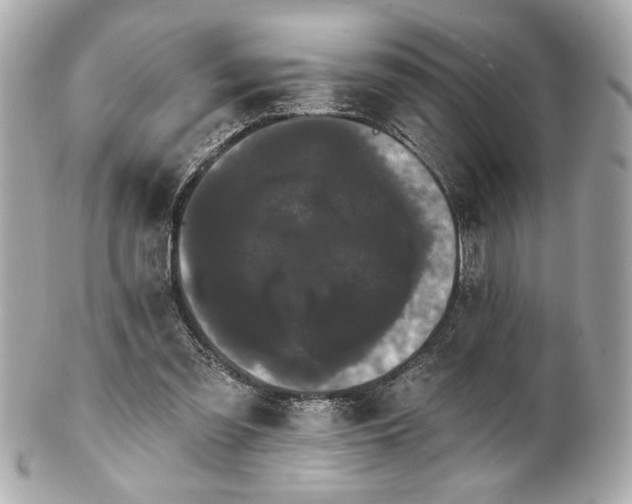 X0000100890301200807011203