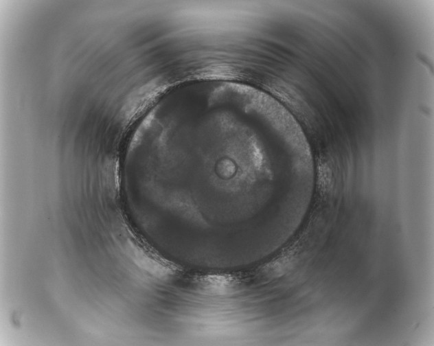 X0000100890302200807011203