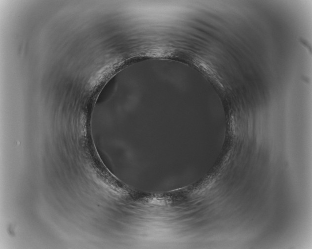 X0000100890303200807011203