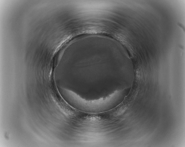 X0000100890304200807011203