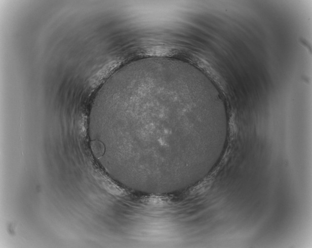 X0000100890305200807011203