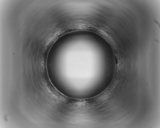 X0000100890306200807011203