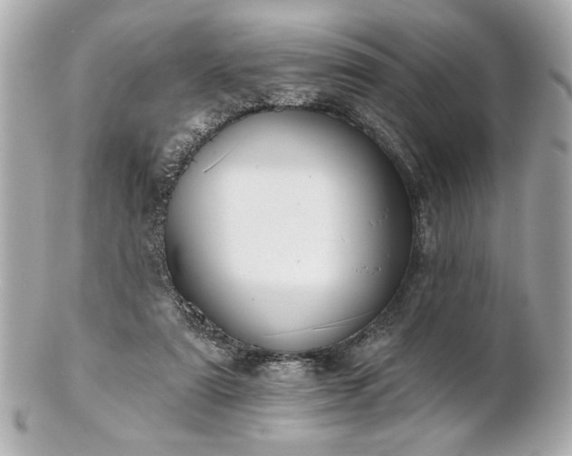 X0000100890307200807011203