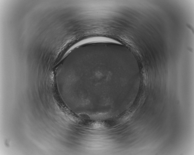 X0000100890308200807011203