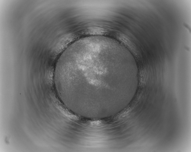 X0000100890309200807011203