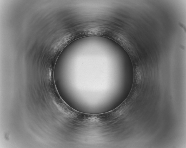 X0000100890310200807011203