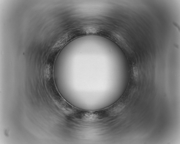 X0000100890311200807011203
