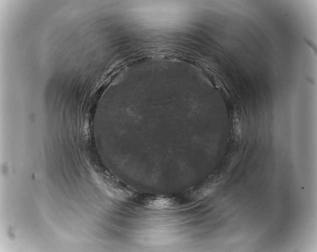X0000100890312200807011203