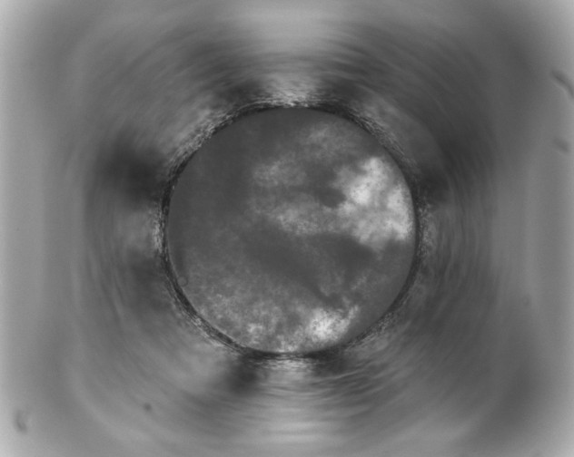 X0000100890313200807011203