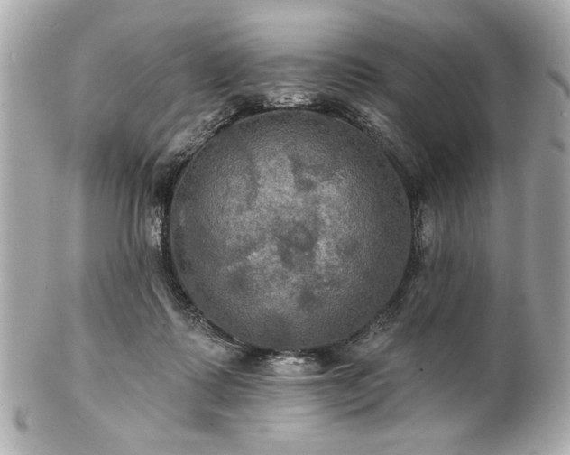 X0000100890315200807011203