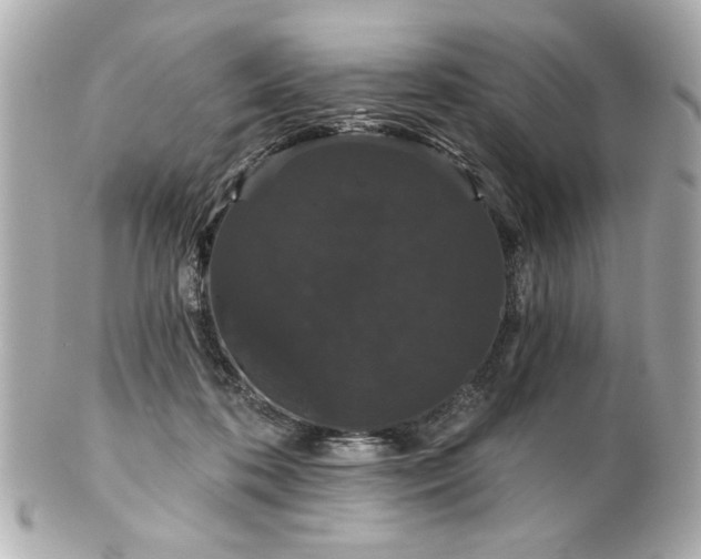 X0000100890316200807011203
