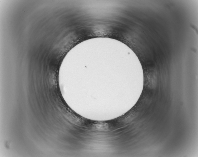 X0000100890317200807011203